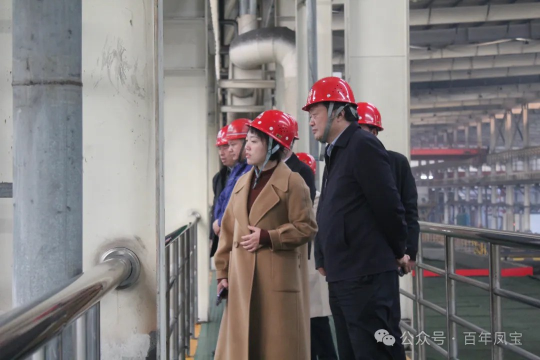 陈佳到米兰(中国)调研