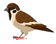 33.png