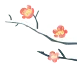 888.png 888.png